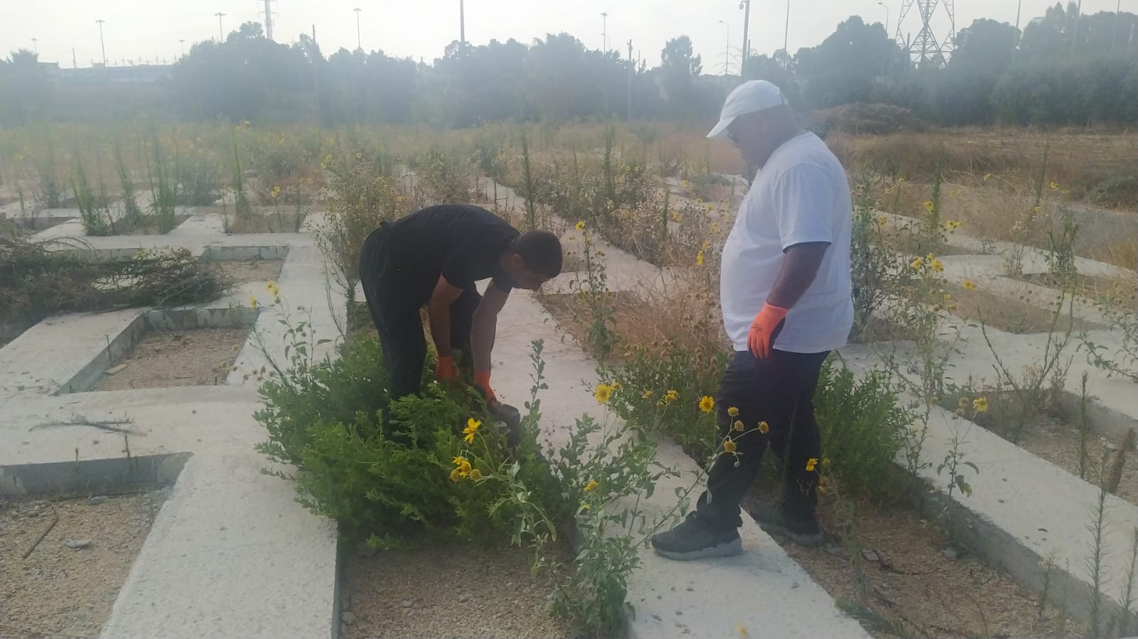 WhatsApp Image 2021-07-10 at 9.38.32 AM (2).jpeg